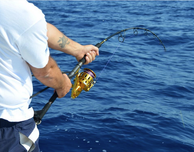 Tuna Fever Marina Frapa Rogoznica